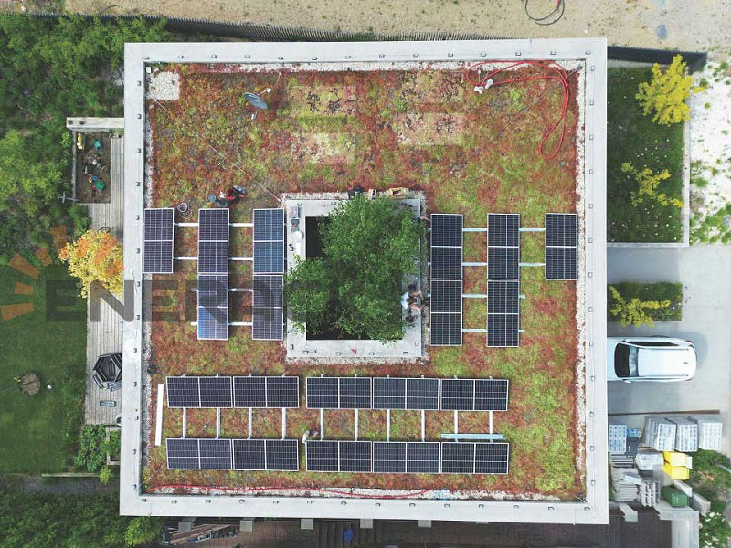 Green roof mounting system