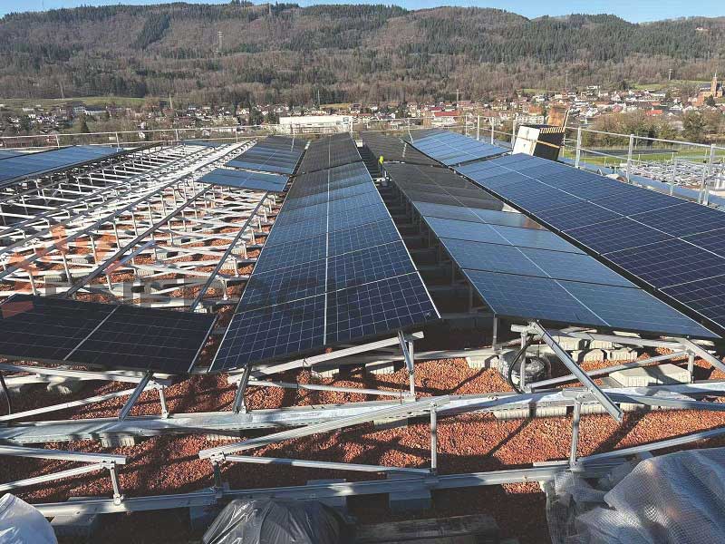Green roof mounting system
